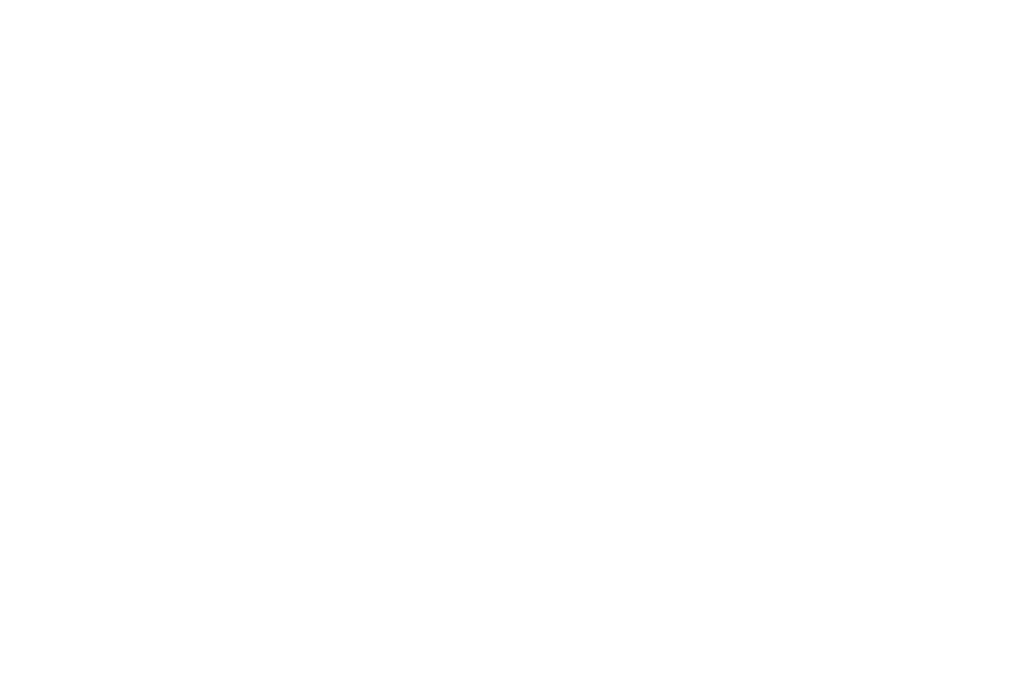 Crucial Salon Chico Logo